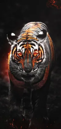 This live wallpaper features a digitally rendered tiger WALKING IN A DARK forest