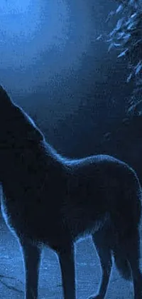 This live wallpaper showcases a stunning close-up of a wolf howling in front of a full moon