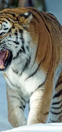 This live wallpaper brings winter wildlife to your phone screen with a striking depiction of a fierce hunting tiger in the snow