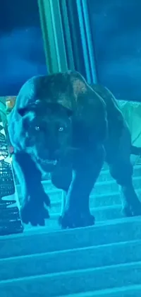 This phone live wallpaper portrays a cute dog walking up stairs projected as a hologram, surrounded by a mystical forest with a black panther