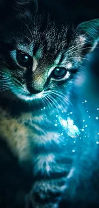This phone live wallpaper showcases a stunning close-up of a cat in digital art form