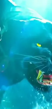 This live wallpaper features a close-up shot of a cat standing in water with extreme chromatic aberration effects inspired by Kong Skull Island (2017) and black panthers