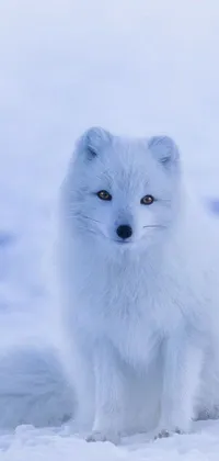 This live wallpaper features a cute and fuzzy white dog sitting amidst a snowy landscape, alongside playful foxes frolicking in the snow