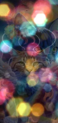 Water Cat Organism Live Wallpaper