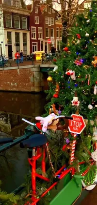 Make your phone come alive with this stunning live wallpaper showing a retrofitted bicycle adorned with a Christmas tree and a stop sign, set against a scenic backdrop of canals