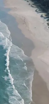 This phone live wallpaper showcases a stunning view of the South African coast, with a vast body of water adjacent to a sandy beach