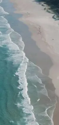 This phone live wallpaper captures the idyllic emerald coast of the south African coastline