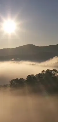 This live phone wallpaper showcases a stunning valley blanketed in fog with the sun shining down on it