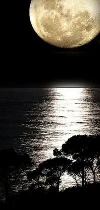 This phone live wallpaper features a stunning full moon rising over a calm ocean with trees silhouetted in the foreground