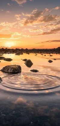 This live phone wallpaper captures the tranquil essence of water