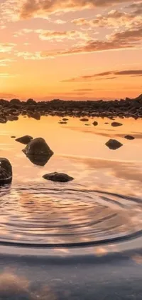 Transform your phone with the stunning live wallpaper of a body of water with rocks, displaying a mesmerizing landscape featuring warm, golden hour 4k illumination