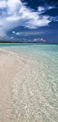 This phone live wallpaper showcases a serene Caribbean scene of crystal clear water next to a sandy beach
