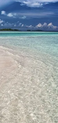 This stunning live phone wallpaper transports you to a peaceful sandy beach next to crystal-clear blue water