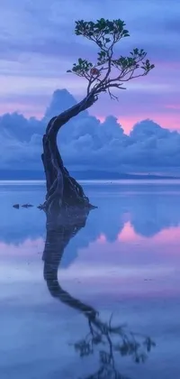 This phone live wallpaper features a stunning image of a lone tree on top of a reflective body of water