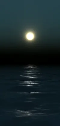 This stunning live wallpaper features a breathtaking digital rendering of a full moon rising over a dark ocean
