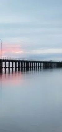This phone live wallpaper features a serene and beautiful long exposure photograph of a bridge over a body of water