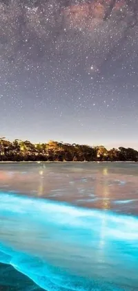This phone live wallpaper showcases a breathtaking beach scene under a starry night sky