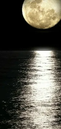 This phone live wallpaper showcases a mesmerizing sight of a full moon rising above a tranquil body of water