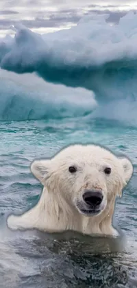 Water Cloud Polar Bear Live Wallpaper