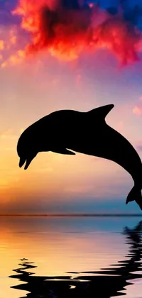 This mesmerizing live wallpaper depicts a dolphin in mid-leap during a magnificent sunset