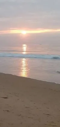 This live wallpaper displays a striking scene of a surfer riding the waves at sunrise on a sandy beach