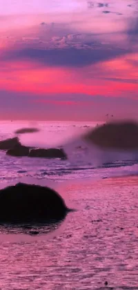 love plage Live Wallpaper