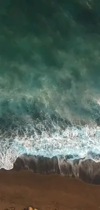 This phone live wallpaper brings the beach to your fingertips