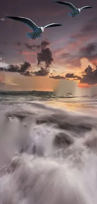 This live phone wallpaper displays a striking image of a rocky coastline and body of water, evoking the drama of a stormy sunset over Florida
