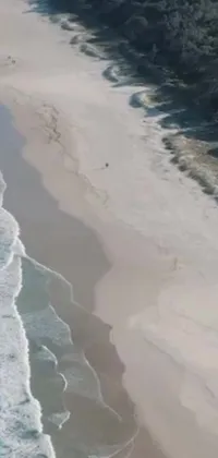 This phone live wallpaper showcases the natural beauty of the Australian coastline with a realistic video still of a peaceful beach and crystal-clear water