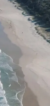 This stunning phone live wallpaper showcases a panoramic view of a serene sandy beach next to a vast body of water, captured in a dynamic flying perspective screengrab from the Gold Coast of Australia