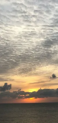 This live wallpaper showcases a serene body of water under a colorful, cloudy sunset sky with layers of stratocumulus clouds