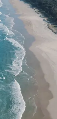 Get lost in the beauty of nature with this stunning phone live wallpaper