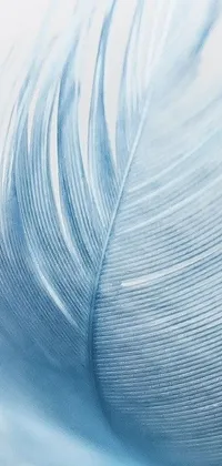 Get lost in the mesmerizing beauty of the Blue Feather live wallpaper