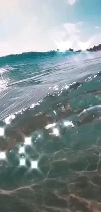 This stunning phone live wallpaper captures the essence of surfing in Miami beach