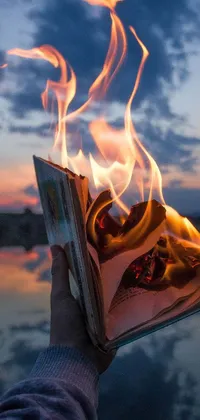 This phone live wallpaper showcases a captivating scene, depicting a person completely engrossed in a book as flames pour out from its pages
