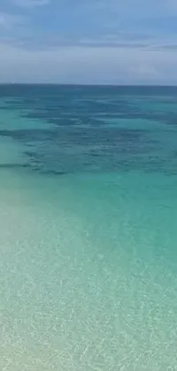 This live wallpaper features a stunning beach with clear blue waters, perfect for giving your phone a serene and peaceful vibe