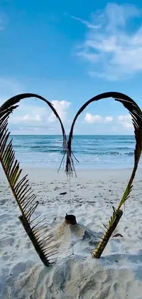 This live wallpaper showcases a heart-shaped arrangement of palm leaves on a sandy beach, perfectly depicting the tranquility of nature