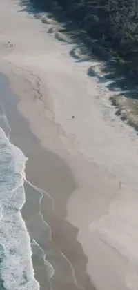 This is a striking phone live wallpaper that features an idyllic sandy beach next to a glistening body of water