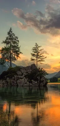 Experience the serene beauty of nature with this stunning live wallpaper