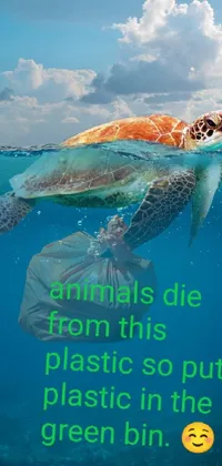 plastic is bad for nature Live Wallpaper