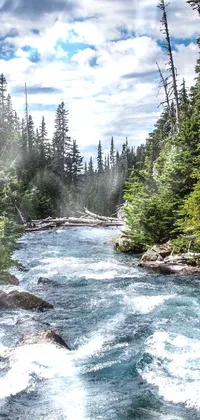 Scenic River Through Lush Mountain Forest