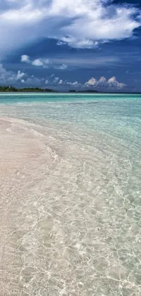 Experience the tranquility of a sandy beach and clear blue waters with this phone live wallpaper