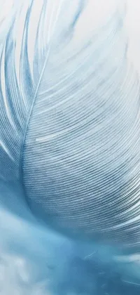 Bring a touch of tranquility to your mobile device with this stunning live wallpaper