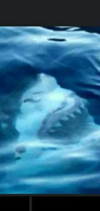 Get mesmerized by this stunning phone live wallpaper that showcases a polar bear gracefully swimming in clear waters