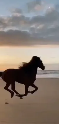 This phone live wallpaper features a breathtaking scene of a galloping horse on the beach at sunset