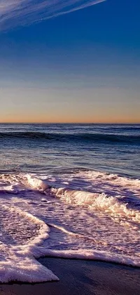 This live wallpaper features a picturesque scene of a man standing by the ocean at Santa Monica beach