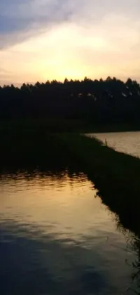 This phone live wallpaper depicts a stunning sunset scene in a forest by a peaceful pond