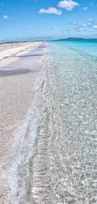This phone live wallpaper showcases a breathtaking body of water that blends seamlessly with a sandy beach