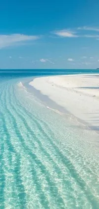 Discover a serene live wallpaper of a body of water sitting on top of a sandy beach, showcasing crystal clear blue water and white beaches