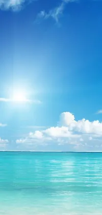 This live wallpaper features a serene beach setting, with a large body of water and sandy beach